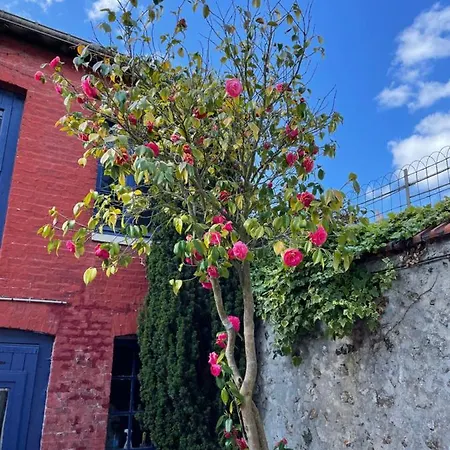 Grande Maison De Pecheur, Confortable Et Accueillante Fecamp